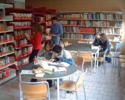 Biblioteca