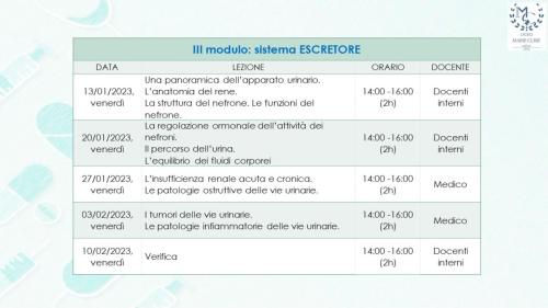 Diapositiva11