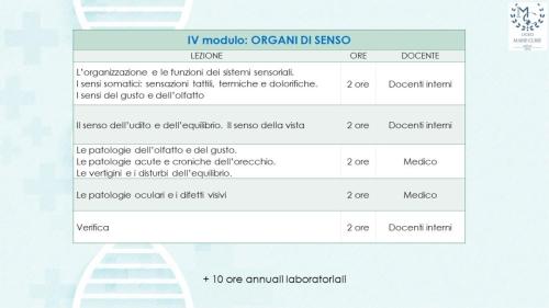 Diapositiva16